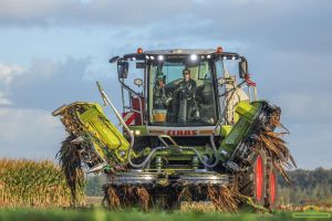 Foto 4 van het album Loonwerk