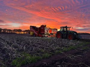 Foto 1 van het album Loonwerk