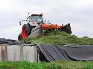 Foto 8 van het album Loonwerk